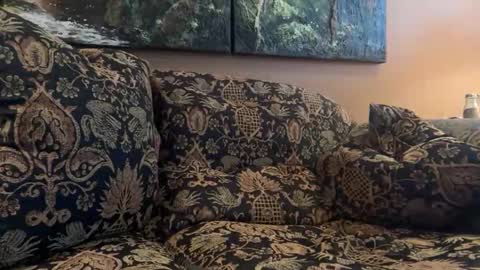 jlk7777 online show from 02/10/26, 05:17