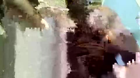 jm612316756558 online show from 04/14/26, 02:06