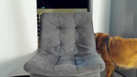 Snapshot of joan_saenz chatting on 01/09/25, 03:47 JOAN SAENZ online show from 01/09/25, 03:47