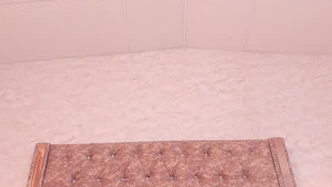 Snapshot of joao_batista_team chatting on 12/20/24, 04:46 JOAO BATISTA online show from 12/20/24, 04:46