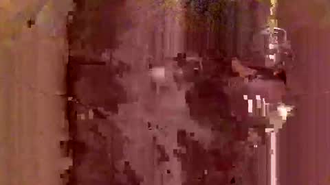 jodlsepp online show from 12/12/24, 11:47