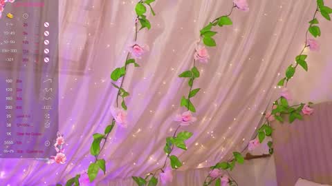 Joe online show from 12/21/25, 04:19