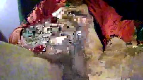 joe_says_hi online show from 11/16/25, 08:58