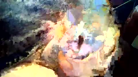 Snapshot of joedunbar61 chatting on 09/17/25, 12:12 joedunbar61 online show from 09/17/25, 12:12