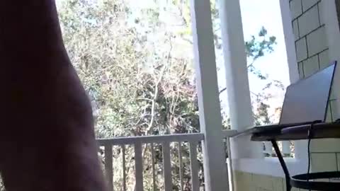 joesmithward online show from 02/08/26, 05:27