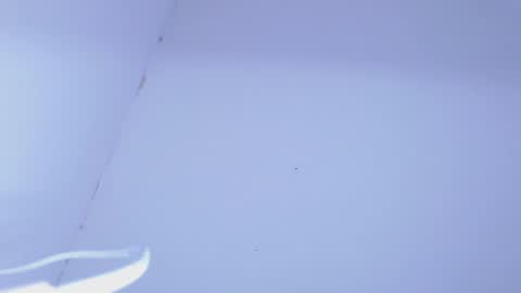 Snapshot of johanleonsweetboy chatting on 02/05/25, 11:28 JOHAN independient model online show from 02/05/25, 11:28