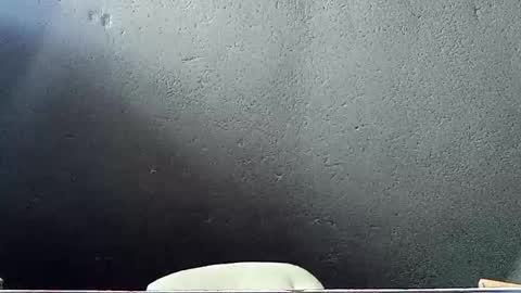 John Marston online show from 05/29/26, 07:17