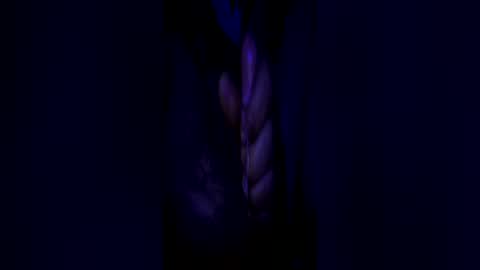 johnbruce23 online show from 06/25/26, 11:37