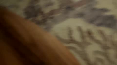 johnny235813 online show from 09/18/25, 03:52