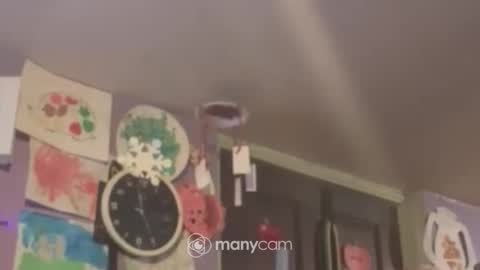 johnnyshung1 online show from 12/16/24, 09:57