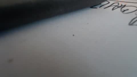 Snapshot of johnnyssunshine chatting on 10/25/25, 02:35 johnnyssunshine online show from 10/25/25, 02:35