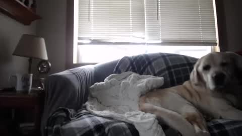 Snapshot of johstondude chatting on 11/05/25, 01:44 Johston online show from 11/05/25, 01:44