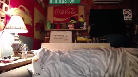 Johston online show from 05/25/26, 01:44