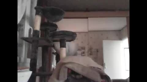 jojo60000529566 online show from 03/04/25, 03:15