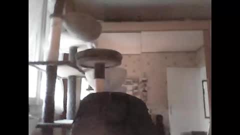 jojo60000529566 online show from 09/29/25, 05:07