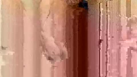 jonathanrossmyers858 online show from 01/21/25, 03:48