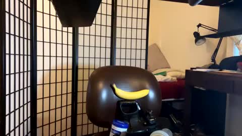 Snapshot of jondoe3657 chatting on 01/23/25, 03:58 jondoe3657 online show from 01/23/25, 03:58