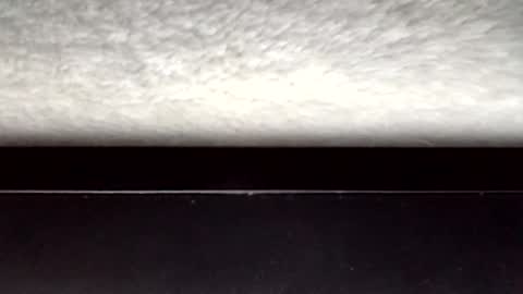 Snapshot of jonlovespussy6969 chatting on 03/31/26, 03:30 John loves pussy online show from 03/31/26, 03:30