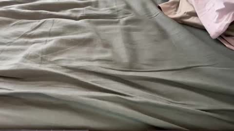 Maximo online show from 03/13/26, 01:51