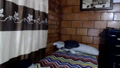 joseph online show from 10/22/25, 03:07