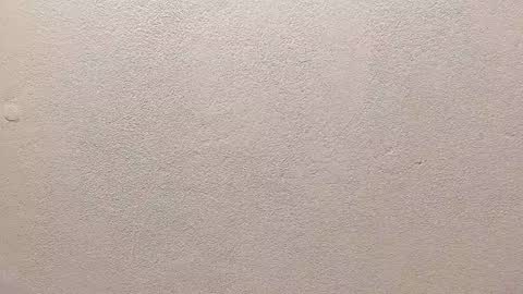 joseph palacios online show from 09/13/25, 06:51