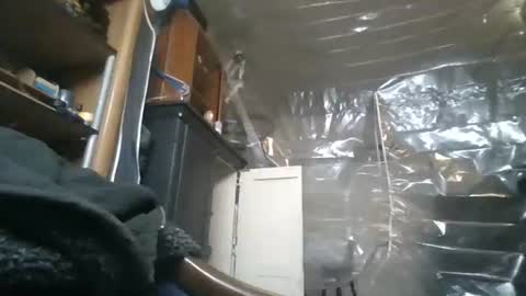 sissy josphine online show from 11/28/25, 05:32