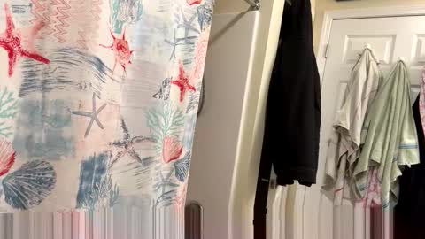 Snapshot of josephung1 chatting on 02/03/26, 03:37 sissy josphine online show from 02/03/26, 03:37