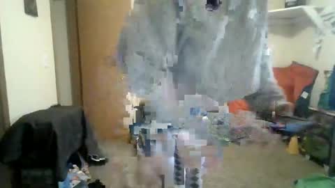 Snapshot of josephung1 chatting on 03/03/26, 07:20 sissy josphine online show from 03/03/26, 07:20