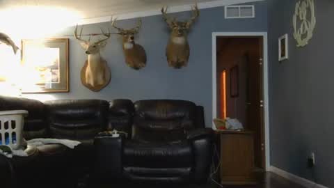 Josh online show from 03/26/26, 02:28