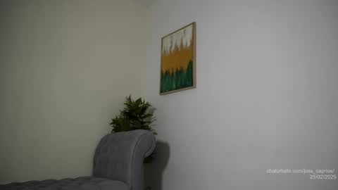 Joss  online show from 02/25/25, 03:16