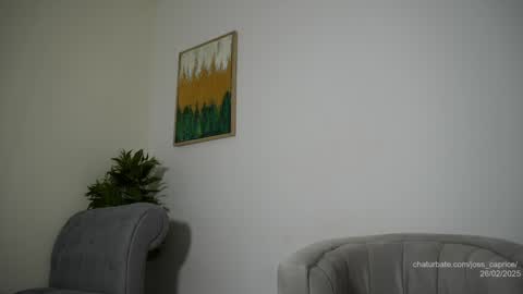 Joss  online show from 02/26/25, 06:32