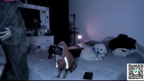 Snapshot of jossephine_ chatting on 01/21/25, 05:49 josephine independent model online show from 01/21/25, 05:49