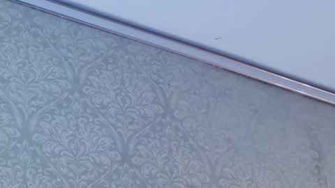 juanita online show from 02/12/26, 05:52