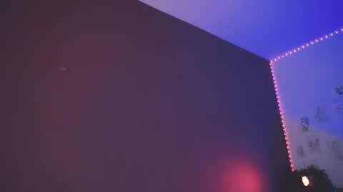 Arina online show from 12/26/24, 04:47