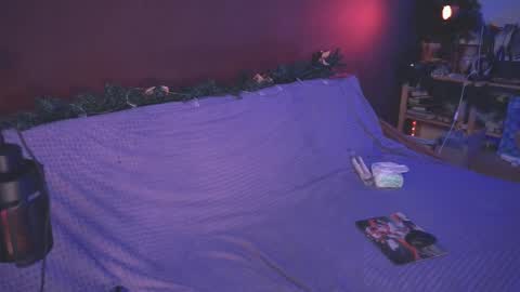 Arina online show from 12/27/24, 01:39