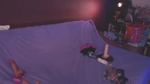 Arina online show from 01/26/25, 07:41