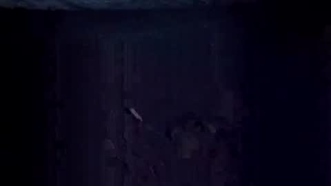 Jugg online show from 12/20/25, 09:16