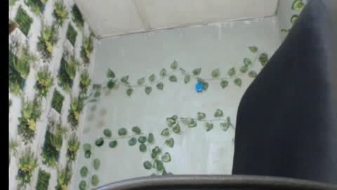 Mariagold online show from 02/13/25, 01:19