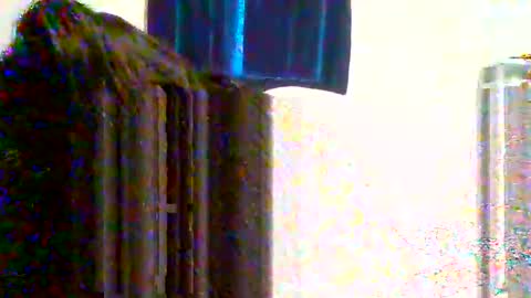 juicylatinabbw online show from 03/31/26, 12:56