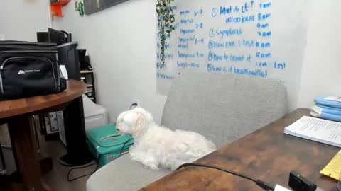 Jules online show from 03/20/26, 05:40