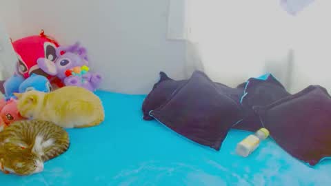  Juliana Torres  online show from 01/07/26, 06:32