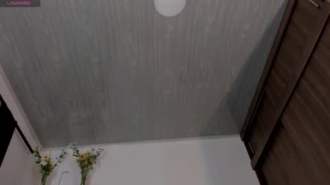 Snapshot of juli_hairy chatting on 03/11/25, 07:36 Juli Modelo Independiente online show from 03/11/25, 07:36