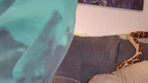 julia_official online show from 11/07/25, 05:02