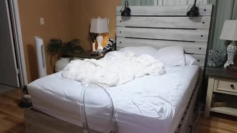 Texas Mamasita online show from 12/23/25, 03:04