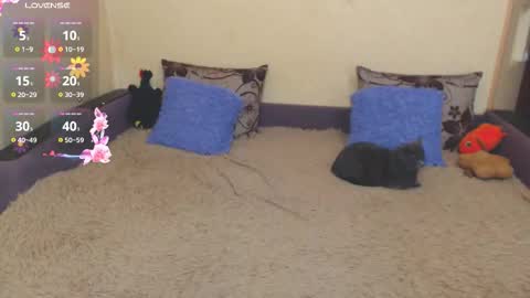 Jul online show from 02/05/26, 07:35