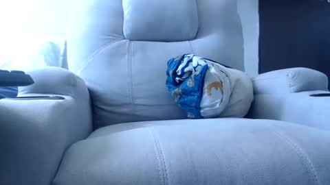 Julie bunny online show from 12/15/24, 04:04