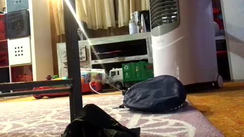 julieface87 online show from 03/26/26, 10:10