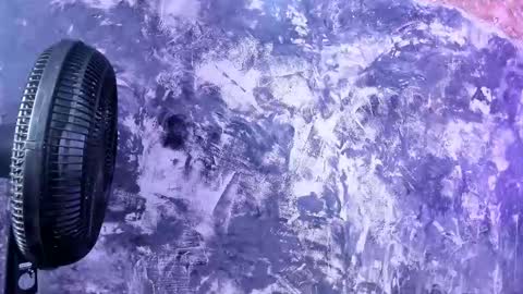 julietakane online show from 03/15/26, 06:08
