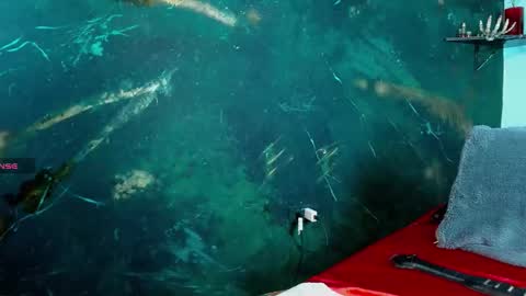    online show from 02/20/26, 06:59