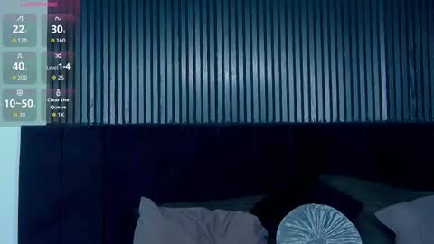 Julia online show from 02/12/26, 03:29